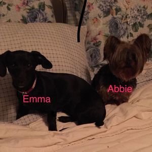 Meet your Posher, Lorraine